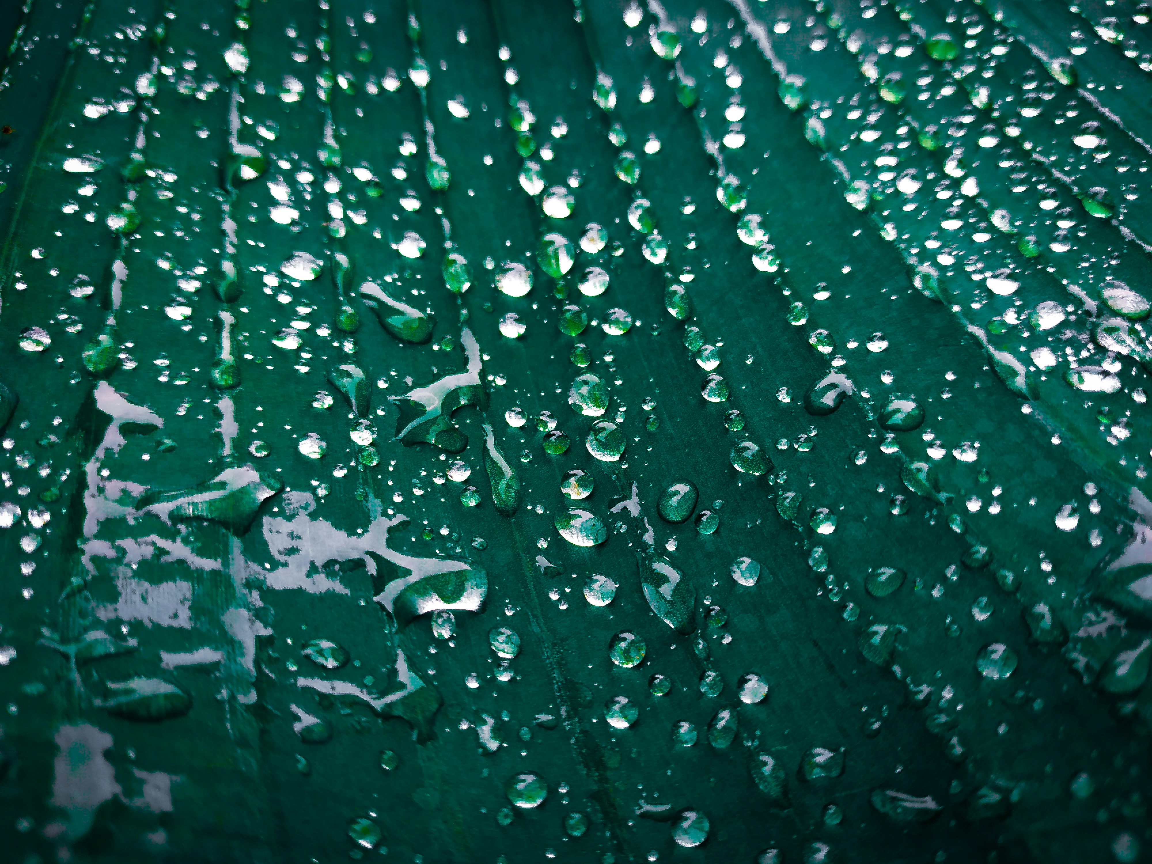 Background cover 2
